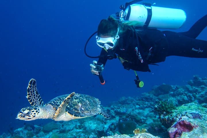 Discover Scuba Diving in Koh Lanta: Beginner-Friendly Day Dives to See Manta Rays photo 2