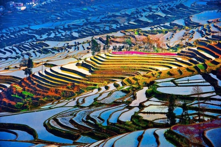 2-Day Private Tour: Stone Forest & Yuanyang Rice Terraces from Kunming photo 2