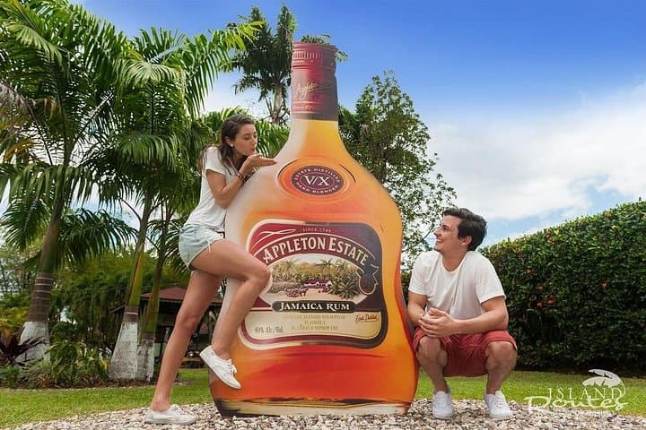 Black River Safari and Appleton Rum Estate Private Tour — South Coast Boat & Distillery Day Trip photo 3