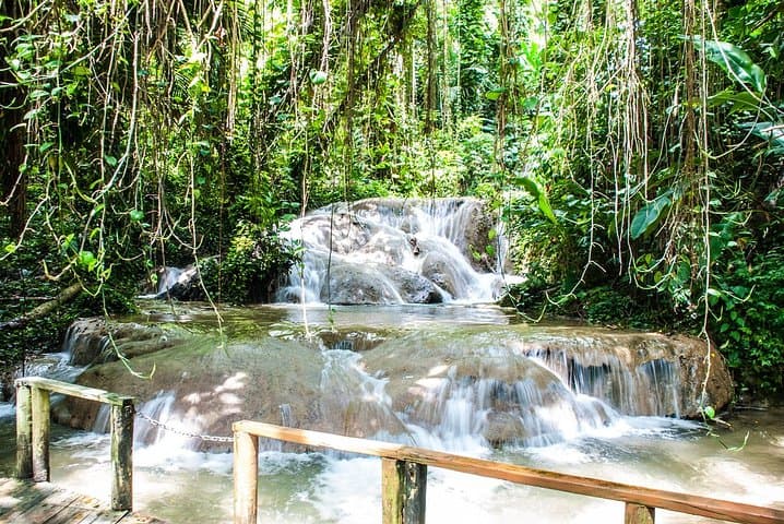 Turtle River Falls and Gardens Private Tour — Ocho Rios Waterfalls, Aviary & Koi Pond