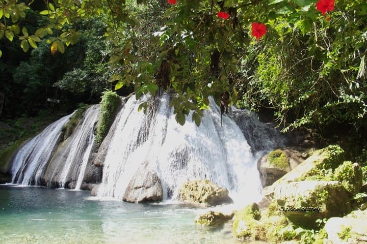 Blue Lagoon & Reach Falls: Private Day Tour from Port Antonio