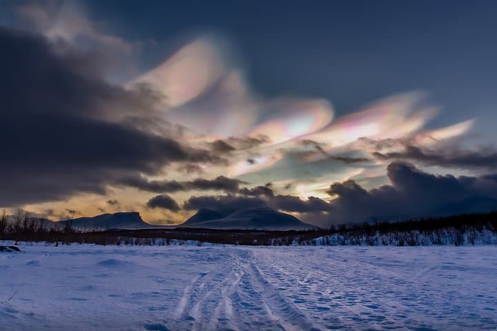 Morning Hike in Abisko National Park: Guided 4–5 km Arctic Trail photo 6