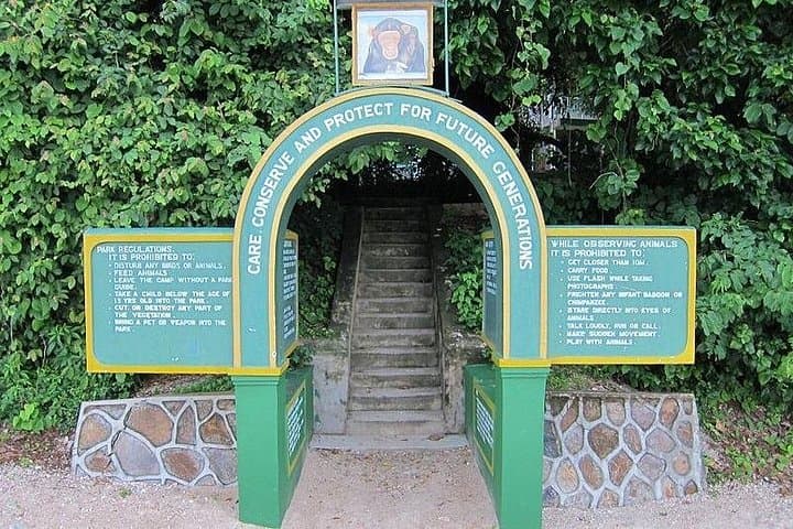3-Day Gombe Chimpanzee Trekking: Jane Goodall Trails & Lake Tanganyika Views photo 3