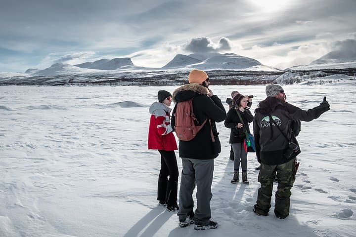 Morning Hike in Abisko National Park: Guided 4–5 km Arctic Trail