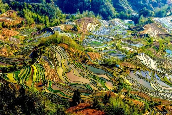 Yuanyang Rice Terraces & Jianshui: 3-Day Private Cultural Tour from Kunming