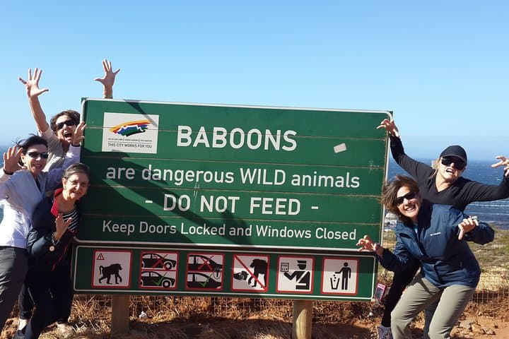 Cape of Good Hope and Winelands Day Tour from Cape Town: Cape Point, Penguins & Chapman's Peak