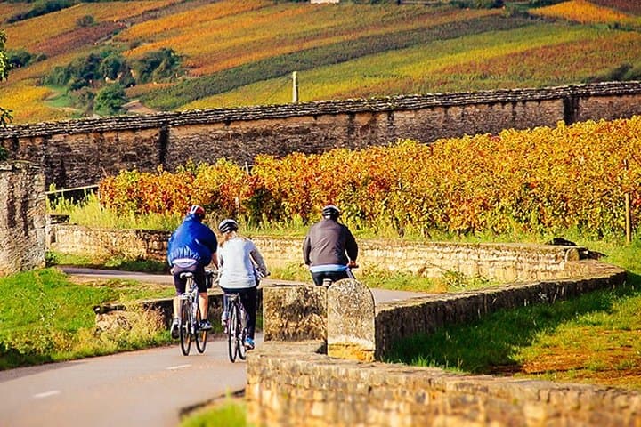 E‑Bike the Côte de Nuits: Day Ride Through Pinot Noir Villages from Dijon photo 3