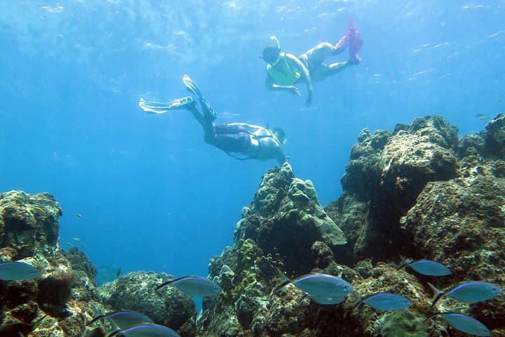 St. Thomas Coral Reef & Turtle Discovery: Kayak, Snorkel, Picnic