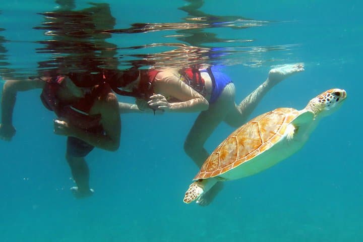St. Thomas Coral Reef & Turtle Discovery: Kayak, Snorkel, Picnic photo 2