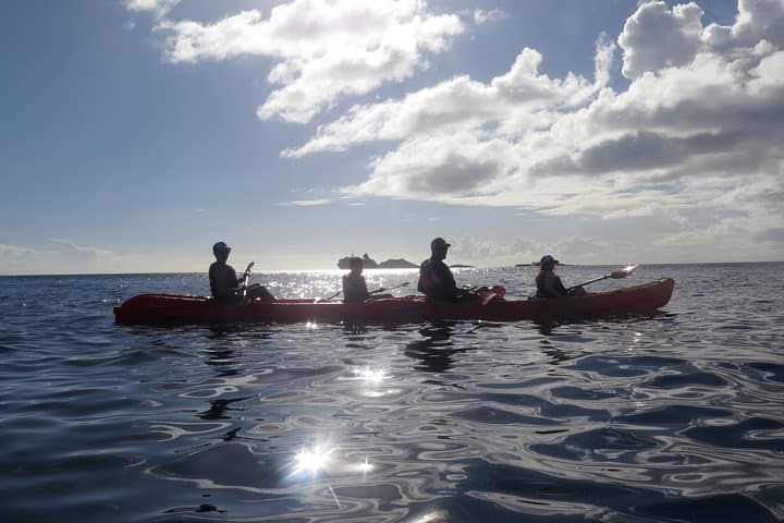 St Thomas Sea Turtle Snorkel and Kayak Tour — Small-Group Guided Adventure photo 4