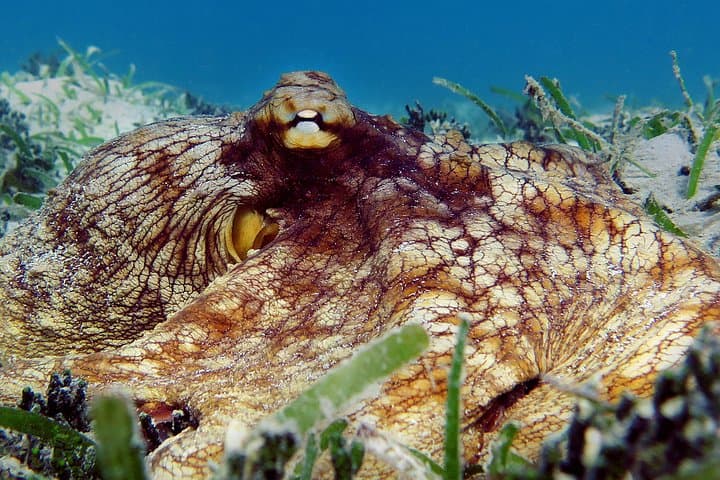 St. Thomas Kayak and Sea Turtle Snorkel: 4-Hour Eco-Adventure photo 3
