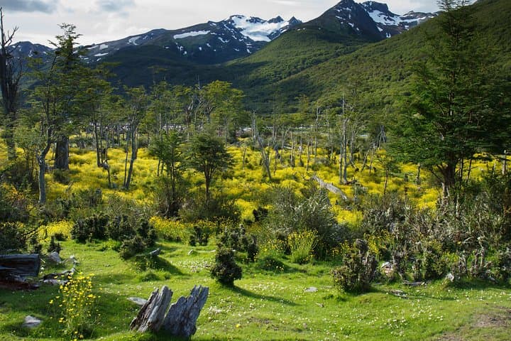 Private Ushuaia Shore Excursion to Tierra del Fuego National Park — 4‑Hour Guided Hikes & Lakes photo 2