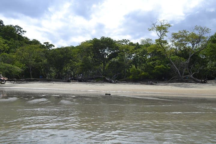 Private SJO to Four Seasons Peninsula Papagayo Transfer (Up to 5 Passengers) photo 1