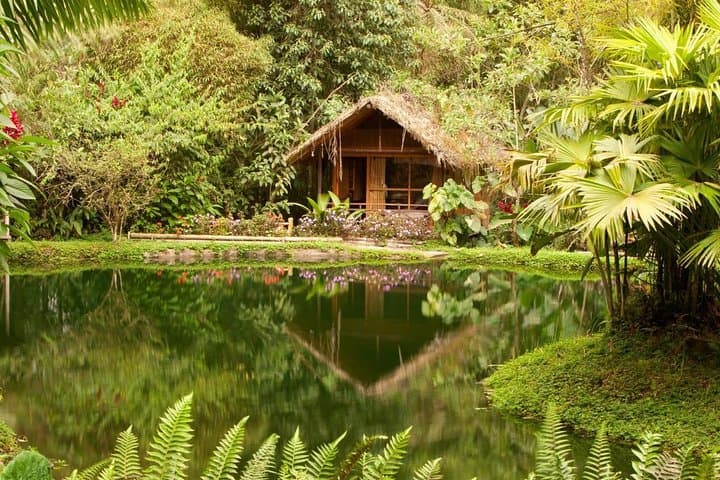 Mindo Cloud Forest Day Trip from Quito — Hummingbirds, Tarabita & Nambillo Falls photo 4