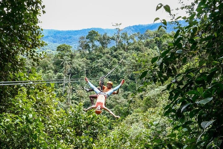 Mindo Cloud Forest Day Trip from Quito — Hummingbirds, Tarabita & Nambillo Falls photo 5