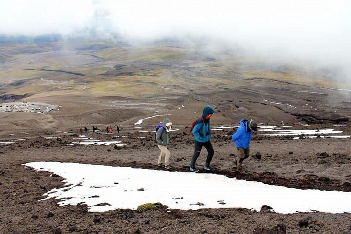 Private Cotopaxi National Park Tour from Quito with Limpiopungo & Rose Plantation photo 4