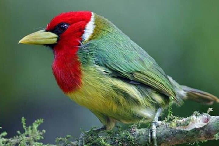 4 Worlds of Ecuador: Andean Highs, Amazon Lowlands, Galápagos & Coastal Shores photo 4