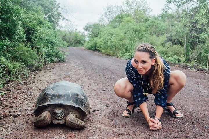 Isabela Island in 2 Days: Wetlands, Tintoreras & Sierra Negra Volcano
