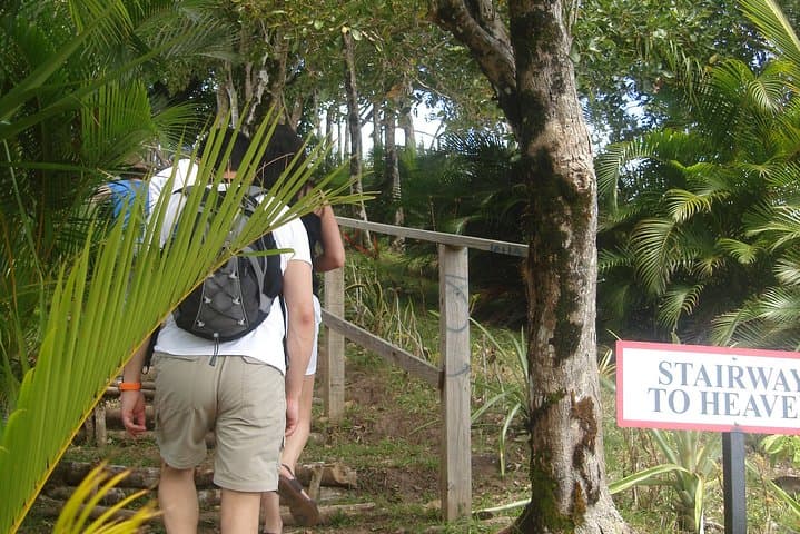 Best of Saint Lucia: Pitons, Drive-Through Volcano & Diamond Falls Day Tour photo 3