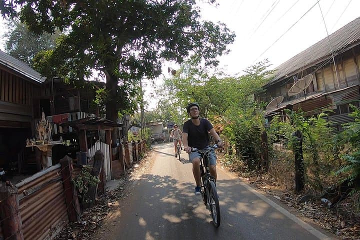 Cycling Ayutthaya Historical Park: 3-Hour Bike Tour of Ancient Temples photo 2