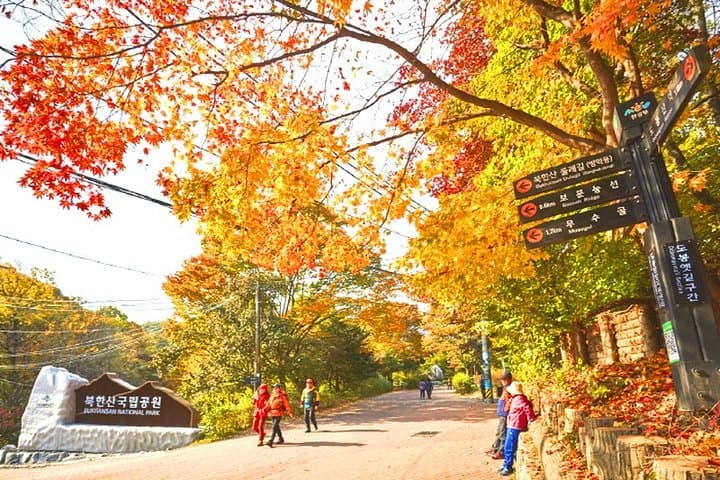 Conquer Bukhansan: Private 4-Hour Hike and Jjimjilbang Recovery in Seoul photo 2