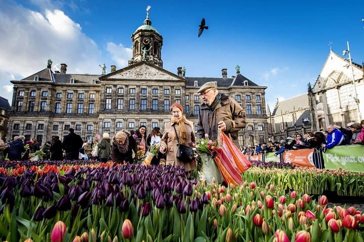 Amsterdam e-Scavenger Hunt — Self-Guided City Game from Stationsplein photo 4