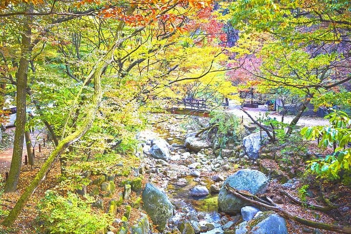 Conquer Bukhansan: Private 4-Hour Hike and Jjimjilbang Recovery in Seoul photo 3