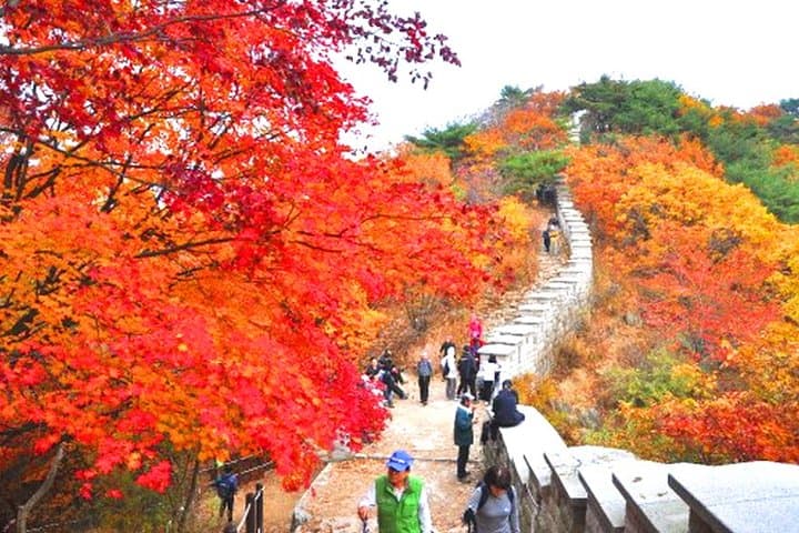Conquer Bukhansan: Private 4-Hour Hike and Jjimjilbang Recovery in Seoul photo 5
