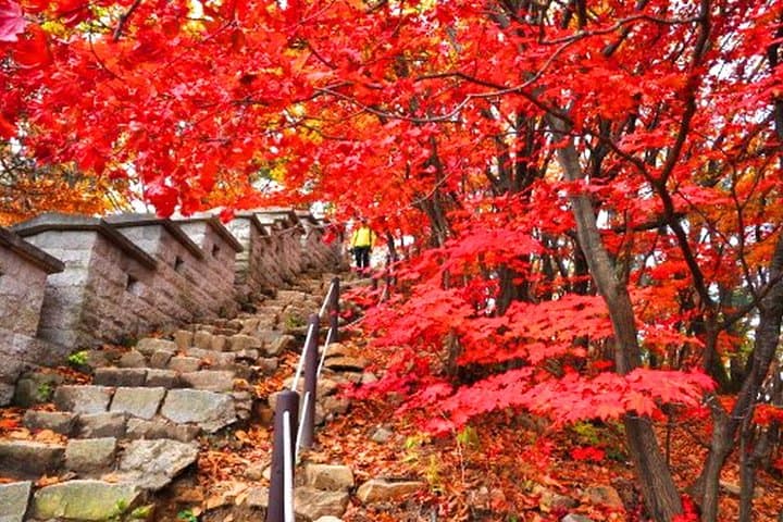 Conquer Bukhansan: Private 4-Hour Hike and Jjimjilbang Recovery in Seoul photo 6