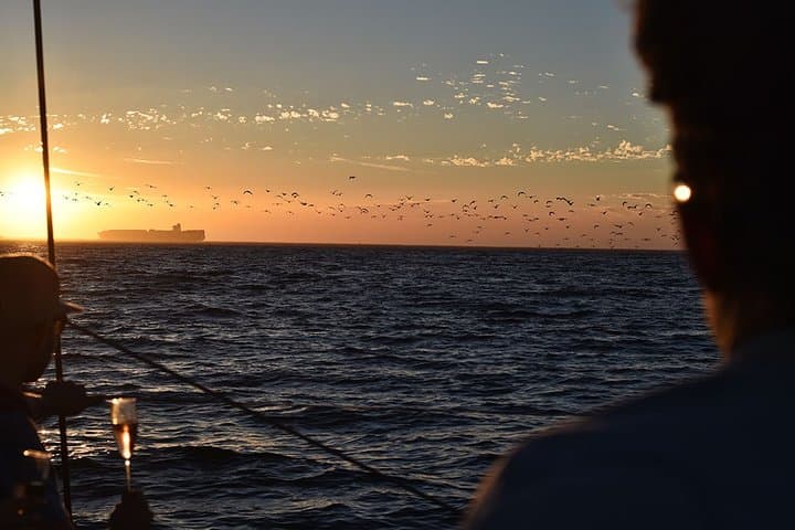 Sunset Champagne Cruise and 3-Course Dinner at Cape Town V&A Waterfront photo 3