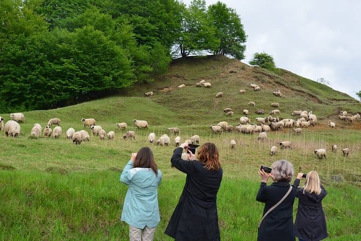 Transylvanian Week: Castles, Bran, Peles, Corvin & Saxon Villages photo 2