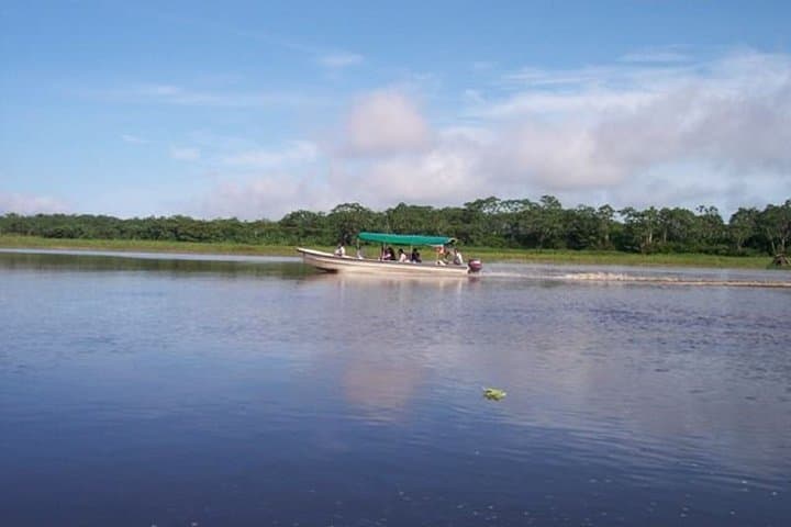 Piranha Fishing on the Amazon: Iquitos River Adventure photo 5
