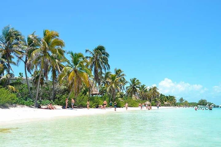 Exploring Contoy Island: A Day Tour from Cancun and Playa del Carmen