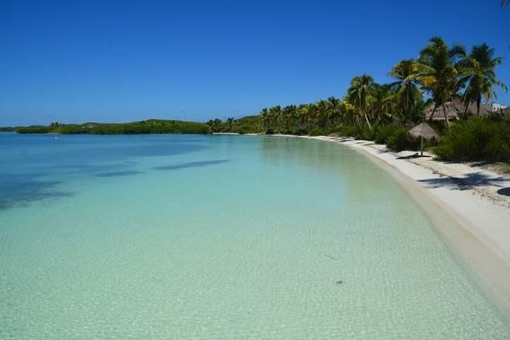 Isla Contoy Day Trip from Cancun & Riviera Maya — Snorkel Ixlaché Reef & Isla Mujeres Stop photo 4