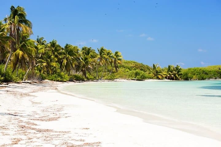 Isla Contoy Day Trip from Cancun: Snorkel Pristine Reefs, Birdlife & Isla Mujeres photo 6