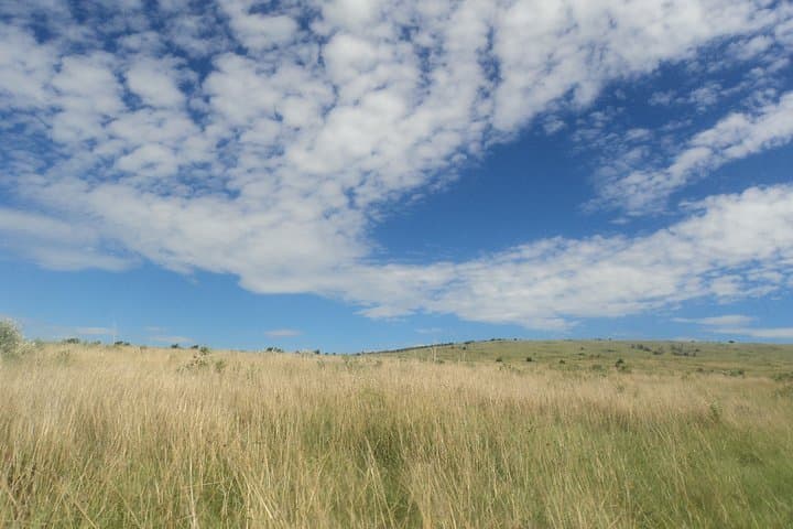 3-Day Budget Masai Mara Road Safari from Nairobi — Family-Friendly Game Drives photo 4