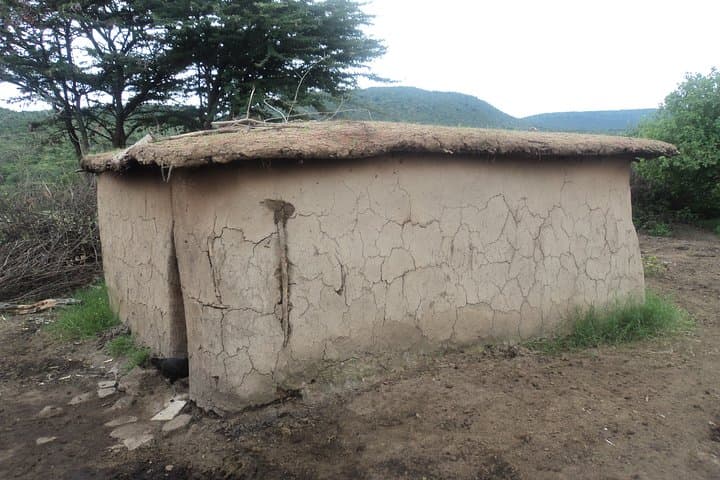 3-Day Budget Masai Mara Road Safari from Nairobi — Family-Friendly Game Drives photo 6