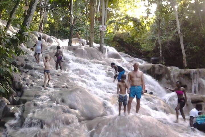 Climb Dunn's River Falls: Ocho Rios Guided Waterfall Adventure photo 4