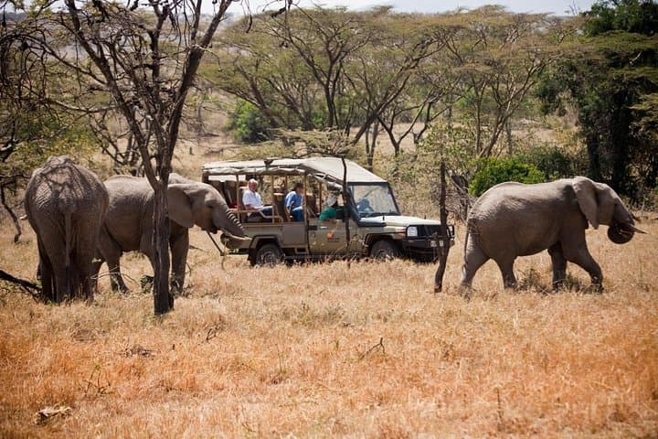 3-Day Masai Mara Safari: Luxury Tented Camp Game Drives & Migration Viewing photo 3