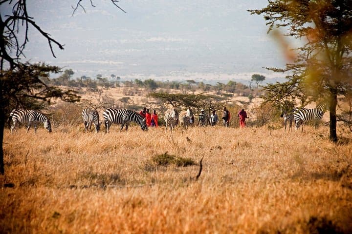 3-Day Masai Mara Safari: Luxury Tented Camp Game Drives & Migration Viewing photo 5