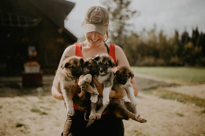 Summer Kennel Visit at Trail Breaker Kennel — Meet Alaskan Huskies Near Fairbanks