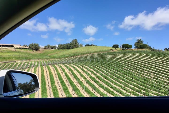 Santa Barbara Ultra-Boutique Small-Group Wine Tour to Private Estates photo 4