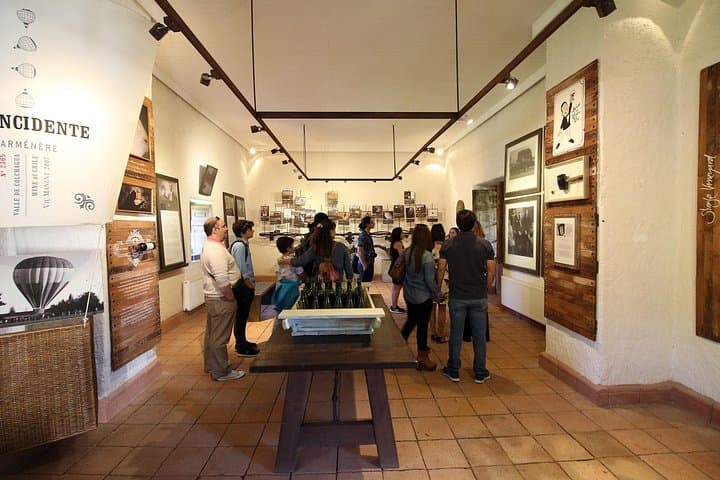 Colchagua Valley Wineries: Montes & Viu Manent Day Tour from Santiago photo 5