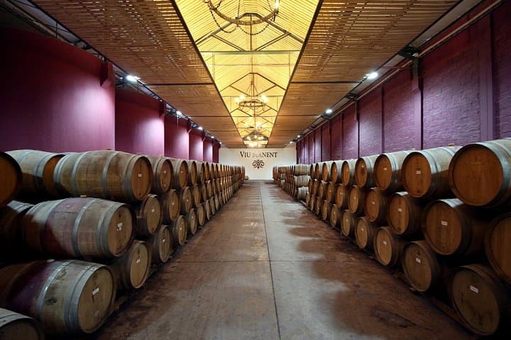 Colchagua Valley Wineries: Montes & Viu Manent Day Tour from Santiago photo 6