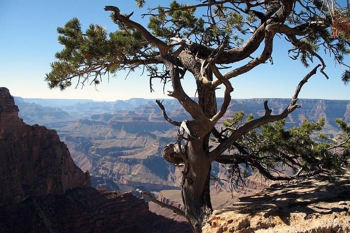 Explore the Grand Canyon South Rim: A Comprehensive Day Trip from Flagstaff photo 6