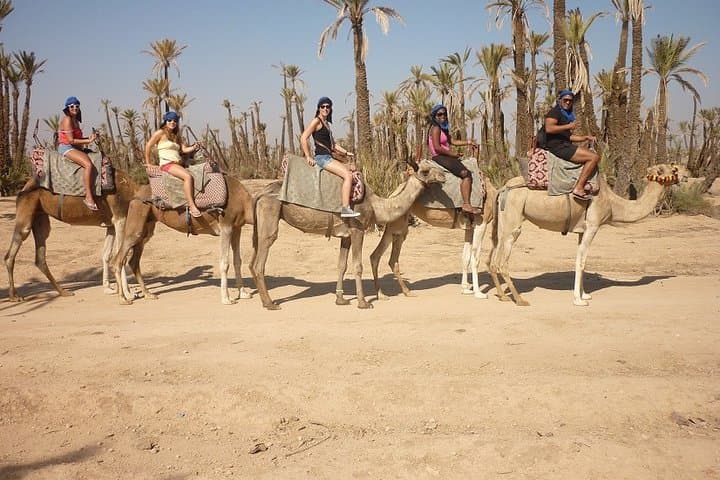 Half-Day Camel Ride in Marrakech’s Palmeraie — Palm-Grove Camel Trek photo 6