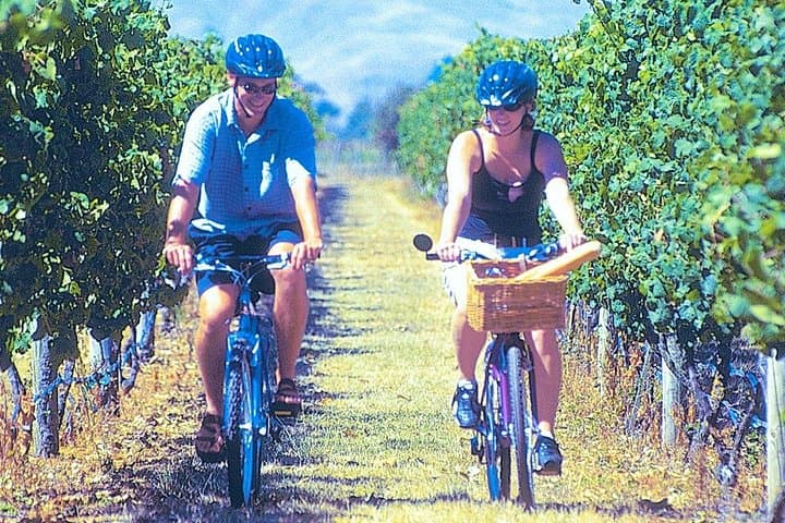 hawkes-bay-wineries-self-guided-bike-tour-ride-the-gimblett-gravels