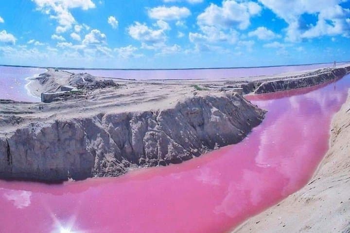 Ek Balam, Flamingo Sanctuary & Tequila Tasting: Private Day Tour from Cancún