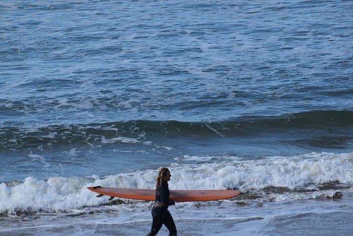 Great Ocean Road Tour: 12 Apostles, Koalas & Forest Walk from Melbourne photo 6