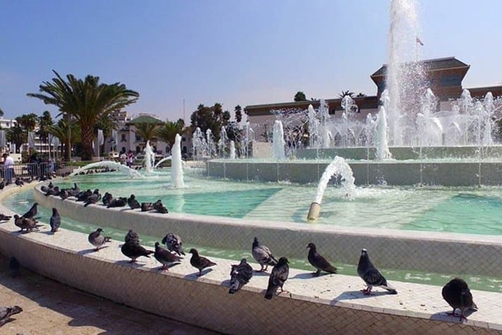 Marrakech to Casablanca Private Day Tour: Hassan II Mosque, Corniche & Old Medina photo 3